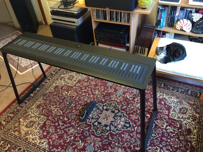 The Seaboard